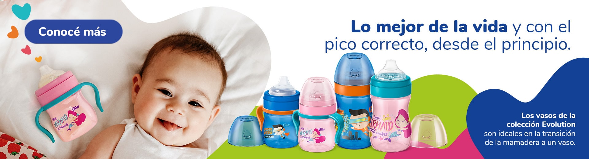 colecao evolution