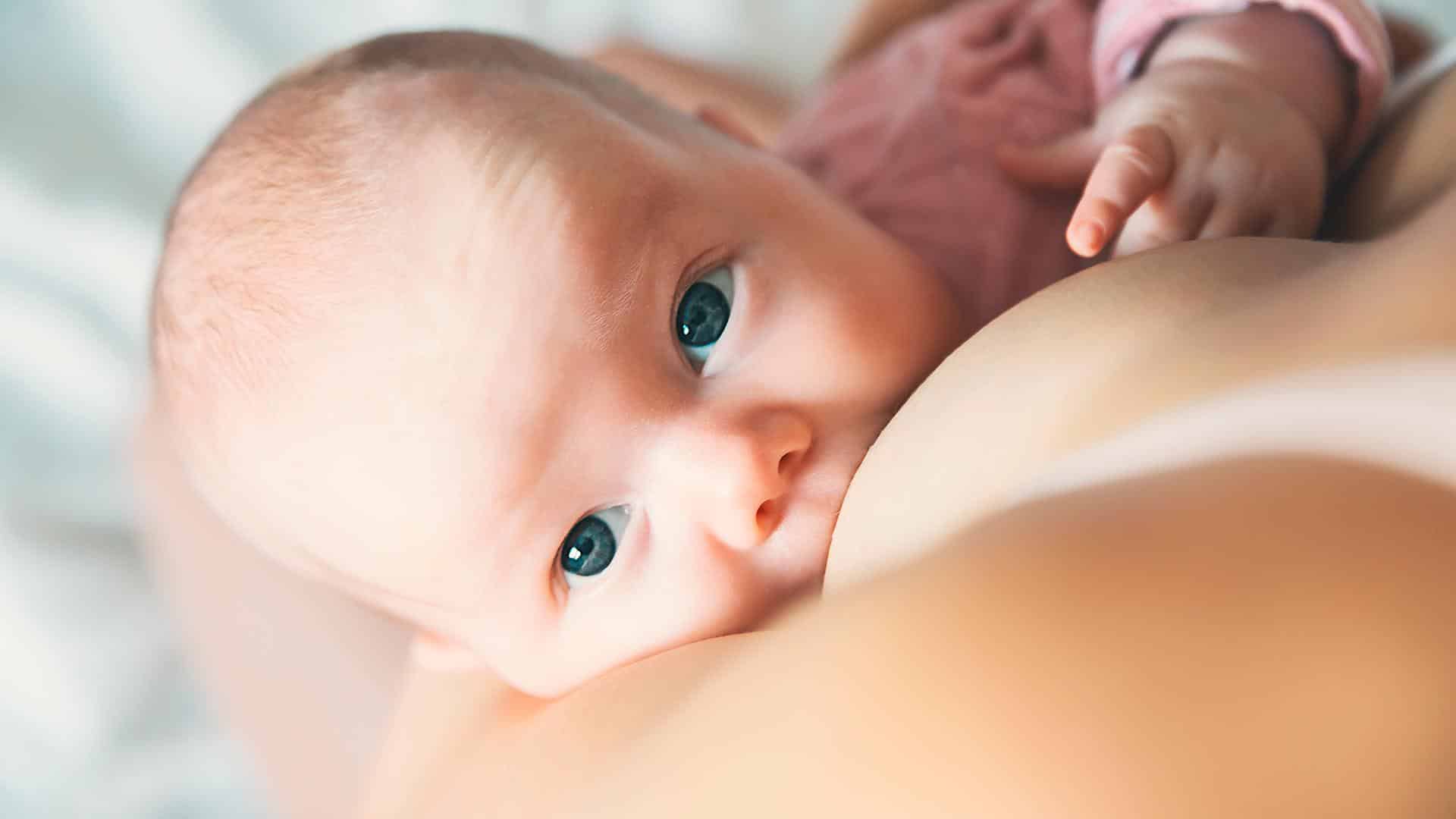 Bebê durante amamentação