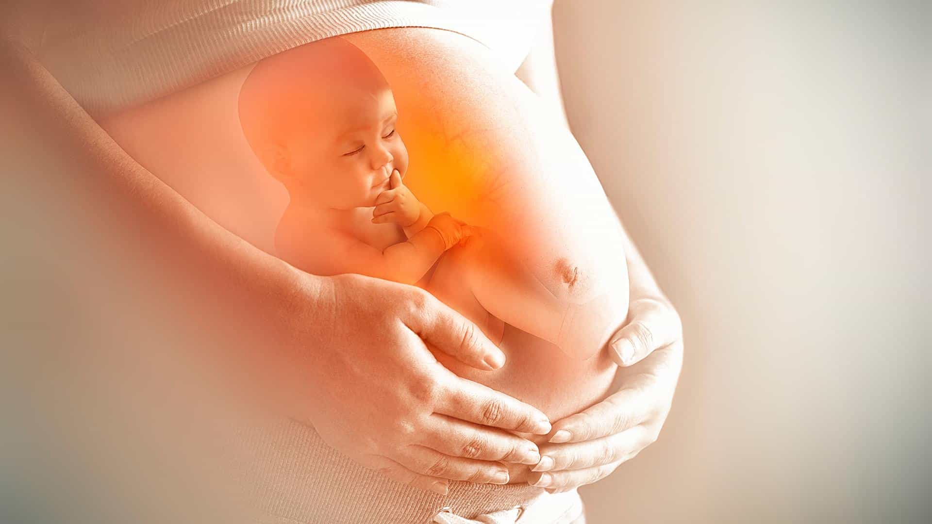 Ilustração de bebê na barriga