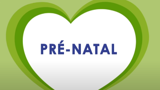 Pré Natal
