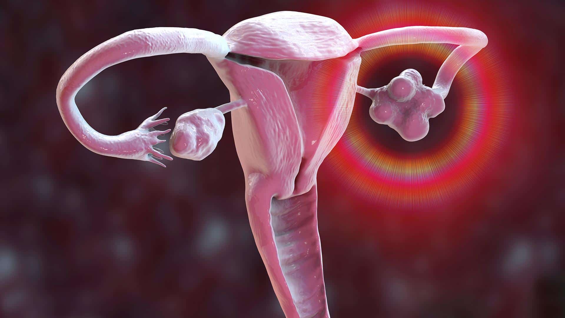 Ilustração de produção hormonal